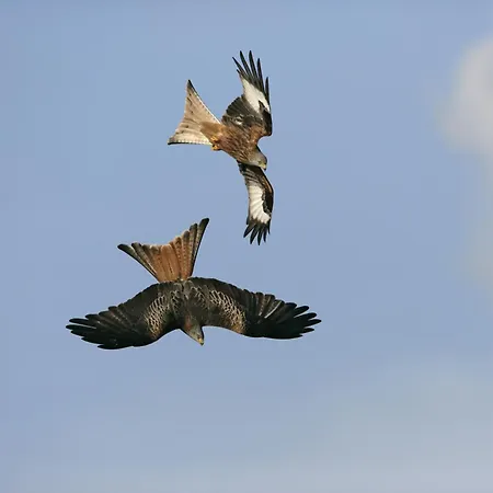 Kwatera prywatna A Porta Pistola *