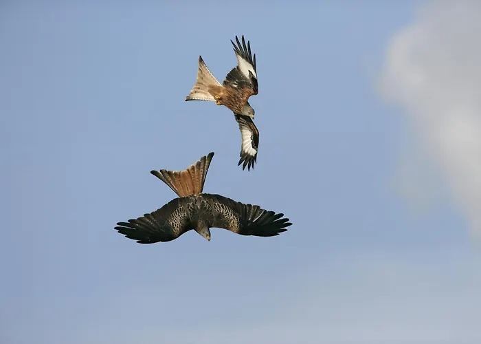 Kwatera prywatna A Porta Pistola *